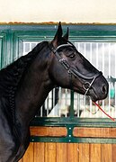 ЦЕНА СНИЖЕНА ДО 450 000