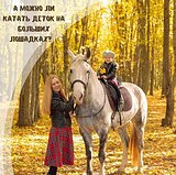 универсальная кобыла