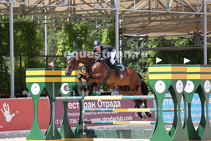 кубок мира по выездке. отрада старты. отрада старты.