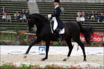 LOUISE NATHORST - GUINNESS