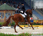 NADINE CAPELLMANN - ELVIS