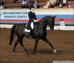 Аль Шайер Диана на Плеже Дом