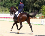 Hindle,Emma GBR/Lancet 2        