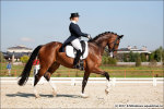 www.equestrian.ru