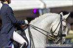 Jenny Rauman / Damasco - команда Португалии продолжает выступать на лошадях своей национальной породы - лузитано