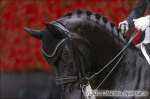 Freese Isabel / Total_Hope