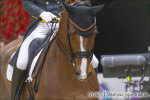 Carrascosa Borja / Sir_Hubert