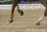 Carrascosa Borja / Sir_Hubert