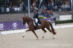 Rotem_Jale_Ibrahimzadeh_Double_Touch_TUR