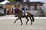 Rowena_Weggelaar_Don_Quichot_Ned
