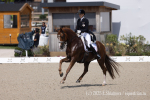 Bettina_Kendlbacher_Broadmoars_don_Alfredo_Aut