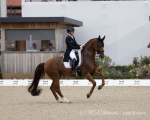 Hemmer Katharina / Denoix
