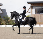 Verboomen Justin / Zonic Plus