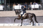 Marieke_VAN_DER_PUTTEN_zantana