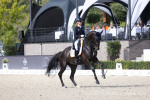 Marieke_VAN_DER_PUTTEN_zantana