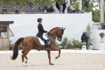 Hemmer Katharina / Denoix