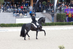 Verboomen Justin / Zonik Plus