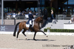 Kittel Patrick / Touchdown