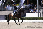 van Liere Dinja / Hermes
