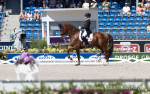 Hemmer Katharina / Denoix Hemmer Katharina / Denoix