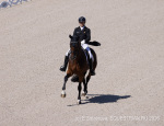 Devroe Jeroen / Lastor BEL Devroe Jeroen / Lastor BEL
