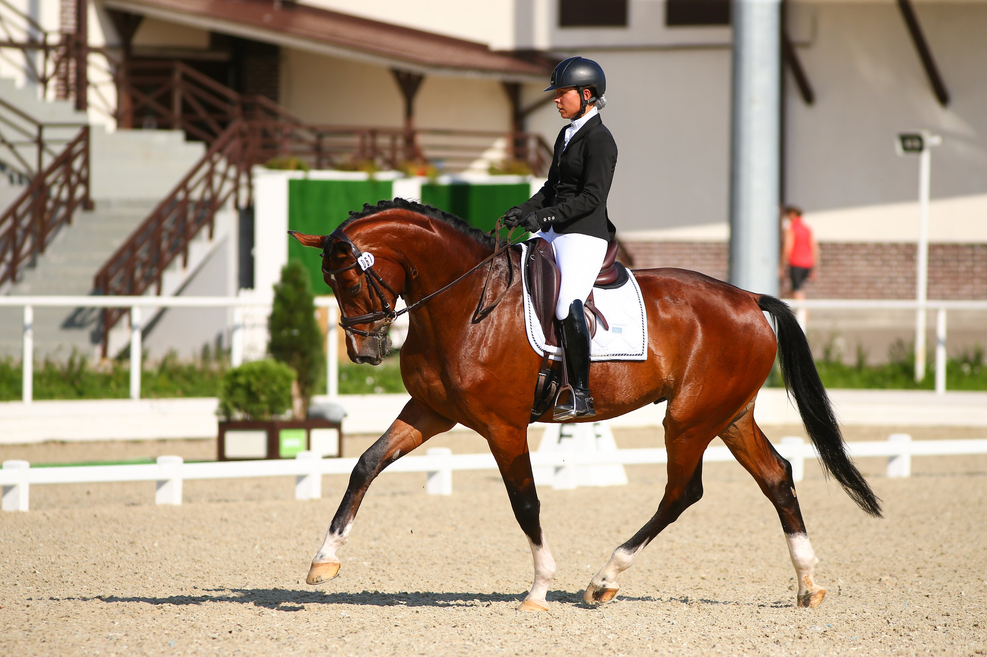 Кск 0. Выездка конный спорт. Выездка maxima stables. Сайт про лошадей конный спорт выездка.