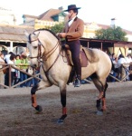 На конном шоу в Португалии в маленьком поселке