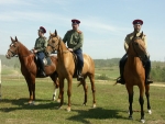 донское казаки на донских конях