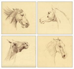 зарисовки разных эмоций лошадей