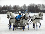 тройка "Акрона" коренник Беркут