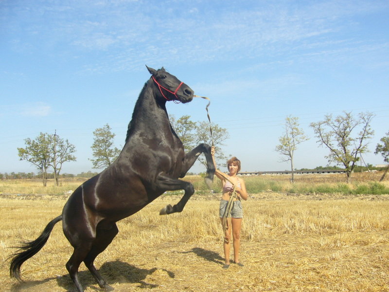 http://www.equestrian.ru/photos/user_photo/2008/4dfaac93.jpg
