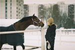 Автор Ася Райская, её первая съёмка на полностью ручной раритетный Зенит,они качественнее,чем на цифровик;) Конь частный, из КСК Эльф
