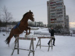 Зима 2007, моё последние пребывание в конюшне((