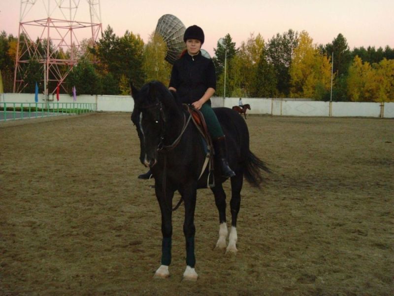 Кск сургут. Конный клуб Merlin Сургут. Конная база Сургут. Конная школа Сургут.