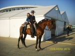 ВКИ 2008, конь Каландрио, испанец Хоакин