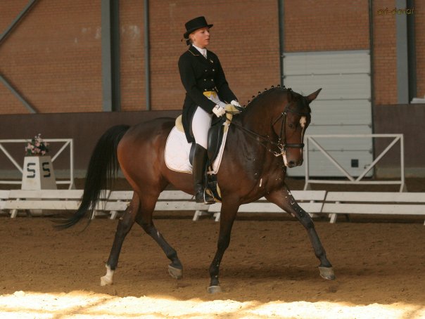 http://www.equestrian.ru/photos/user_photo/2008/bc61cdac.jpg