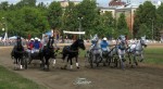 Ярославль, Золотая грива, вороные: коренник Карат,пристяжные Борец, Купол, серые: коренник Беркут,пристяжные Приз, Виток