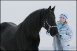 Портрет моей лошади Карины с подругой Яной