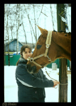 Январь 2008, КСК Мустанг, конь принадлежит ЧВ,фото с плёночного Beroquick