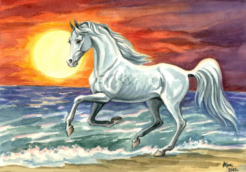 Лошадь картинки рисунки. Волшебные лошади Оксаны Кукс. Лошадь рисунок. Лошадь бежит.