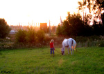...закатного солнца. Алиса и Тёмыч, лео 2007, КСК Гармония,лошадь принадлежит ЧВ