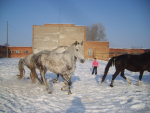 Сера Парочка