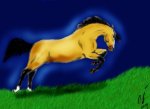 моя старая работа в фотошопе.Вообще нарисована на заказ для моей подруги.Коня в реальности зовут Танцор,он арабо-пони.Но вроде как тут похож на Араба чистокровного))