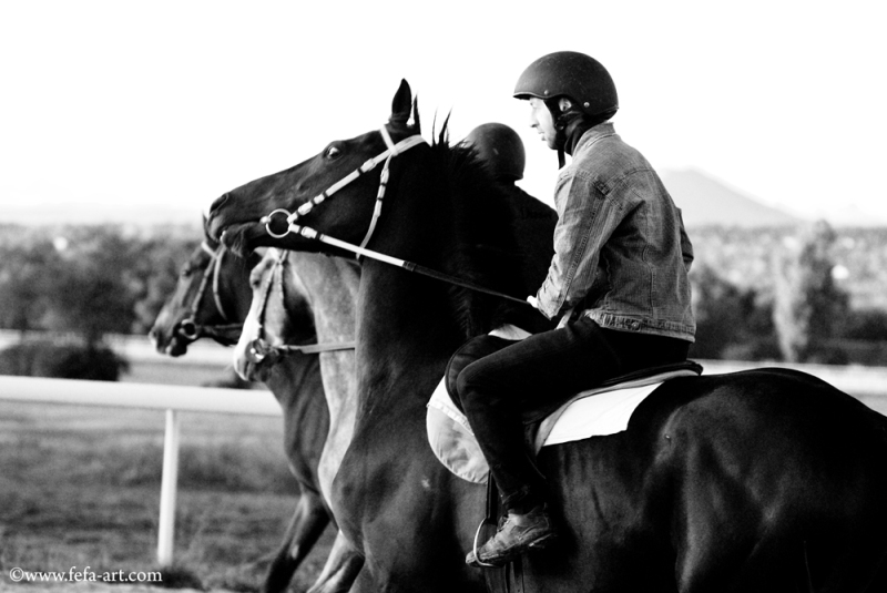 http://www.equestrian.ru/photos/user_photo/2009/b2eed47c.jpg