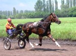 Хреновской конный завод