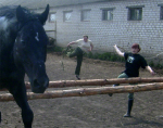 Старая фишка-при прыжке лошади ногу задирают :)