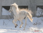 Егорка убежал.