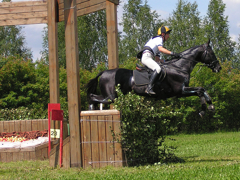 http://www.equestrian.ru/photos/user_photo/2010/d7c56beb.jpg
