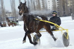 Летяший по беговой дорожке