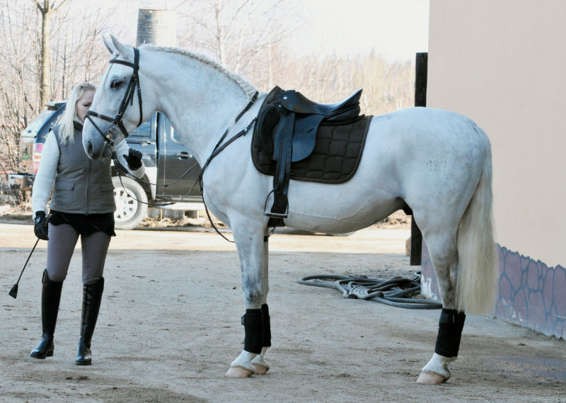 https://www.equestrian.ru/photos/user_photo/2011/111295e7.jpg
